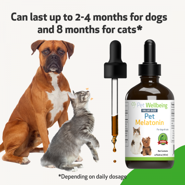 Pet Melatonin - Cats