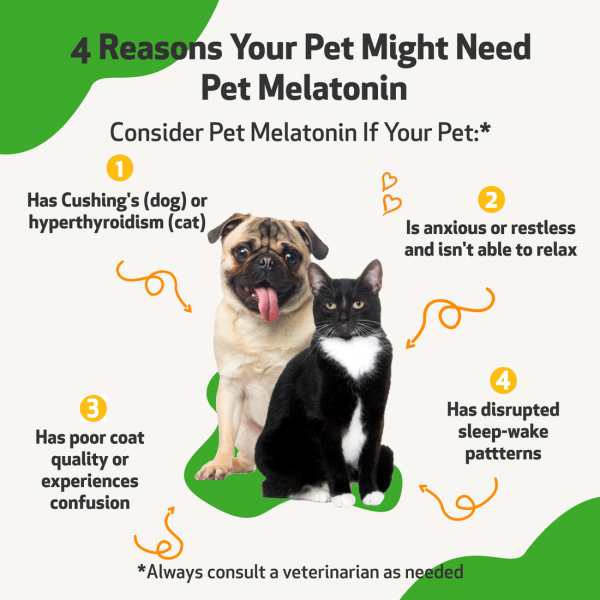 Pet Melatonin - Cats